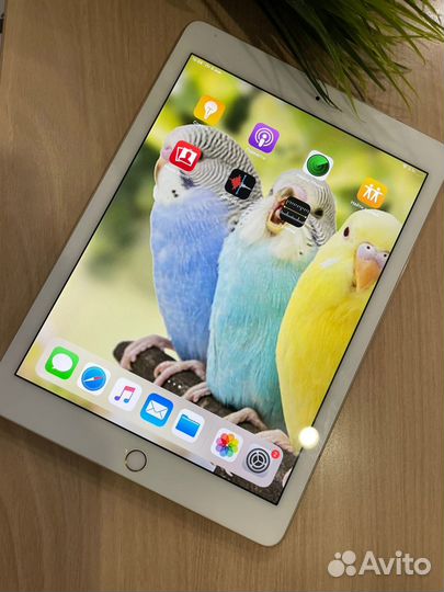 Apple iPad Pro 9.7 128Gb Wi-Fi+Cell Gold