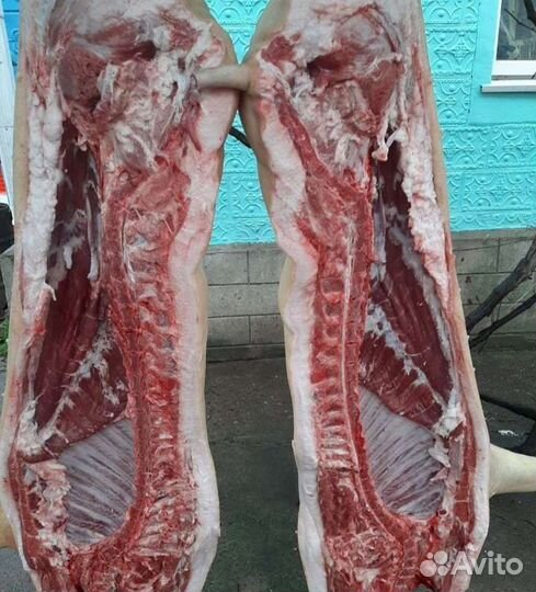 Мясо свинина