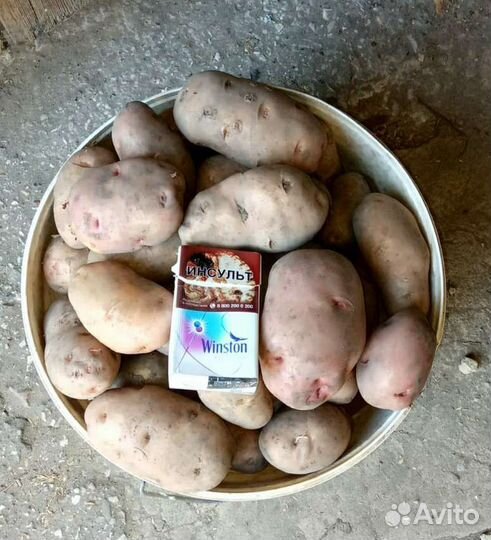 Продам картофель