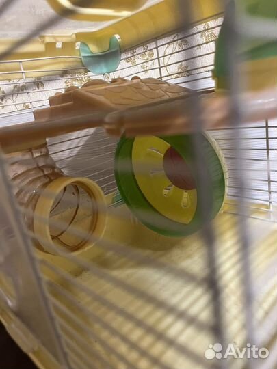 Клетка Для грызунов