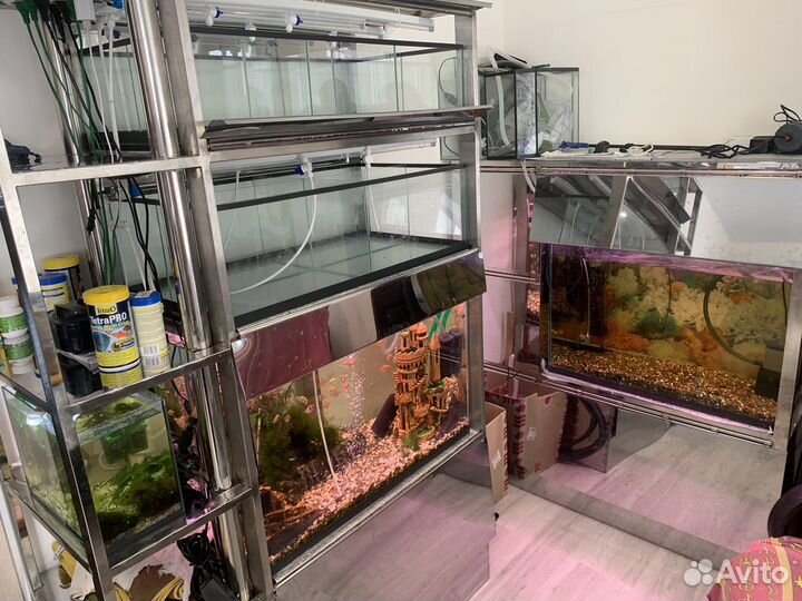 Аквариумные ферма из нержавейки