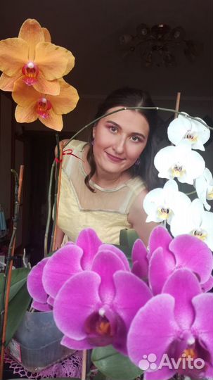 Танцевальные встречи в восточном стиле