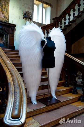 Крылья ангела в аренду