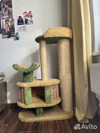 Домик когтеточка для большой кошки