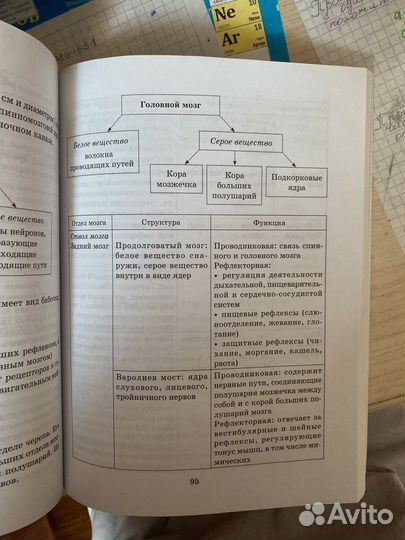 Справочник по биологии