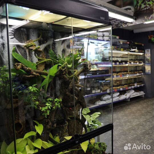Товары для рептилий