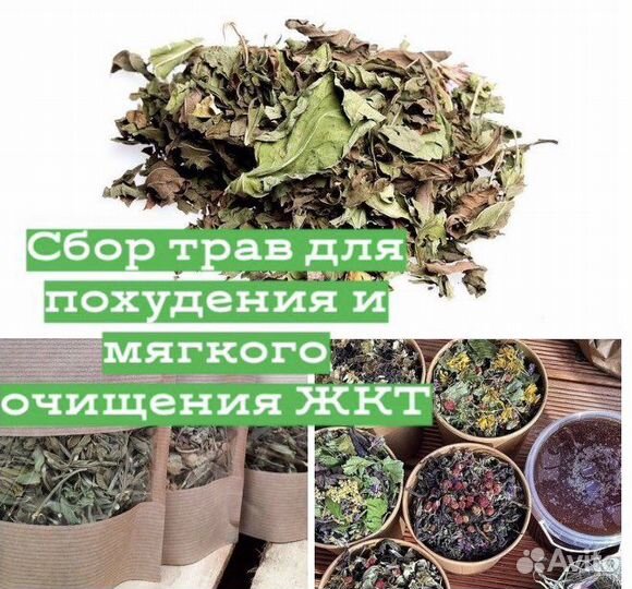Сбор трав для Мягкого очищенияжкт