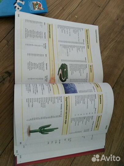 Новая энциклопедия школьника 383 стр