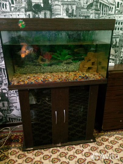 Аквариум с тумбой 180 литров