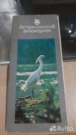 Открытки Астраханский заповедник