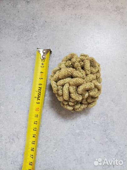 Эуфорбии, тилекодоны, гастерия, ленофилум