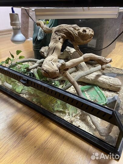 Террариум для рептилий бу