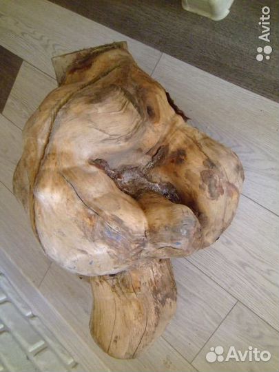 Сувель березовый (кап)