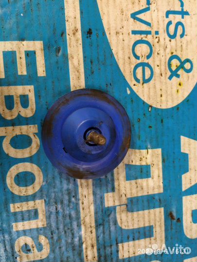 Болт крепления запаски Nissan Primera P12 01-08