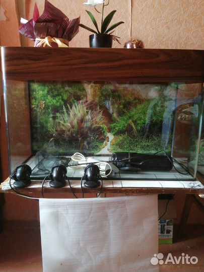 Аквариум