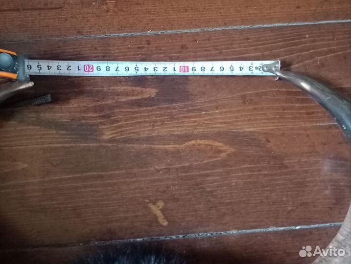 Buffalo Horn (рога буйвола)