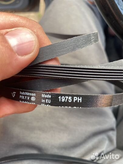 7PH 1975 Hutchinson ремень сушильной машины