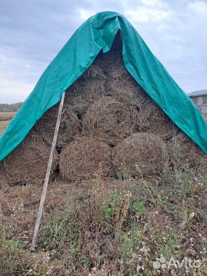 Сено в рулонах