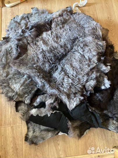 Шкурка животного