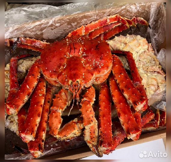 Краб Камчатский