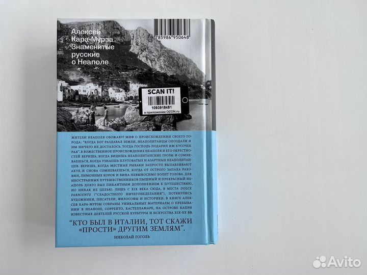 Алексей Кара-Мурза: Знаменитые русские о Неаполе
