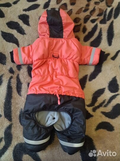 Зимний комбинезон для средней собаки(девочки)