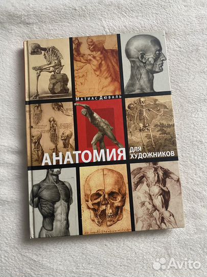 Книга Анатомия для художников