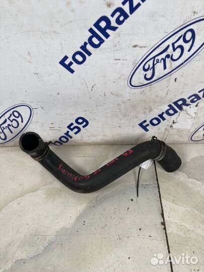 Патрубок радиатора нижний Ford Focus 3 CB8 1.6