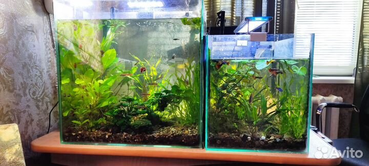 Аквариум в полном комплекте
