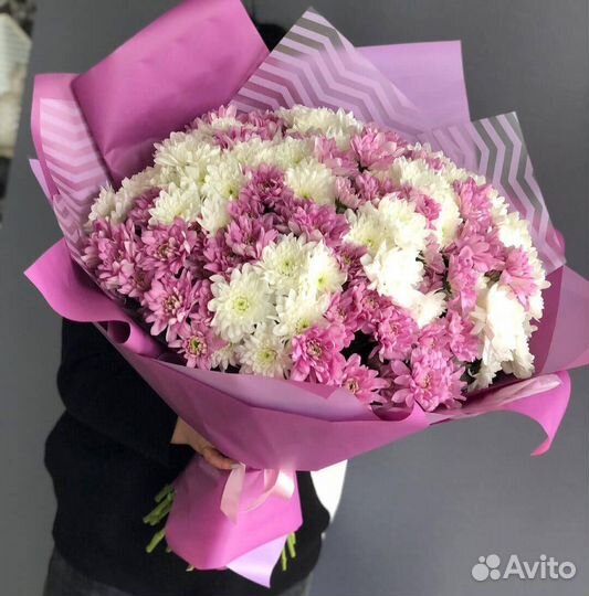 Сиреневые кустовые хризантемы