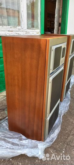 Акустическая система Электроника 35ас-015