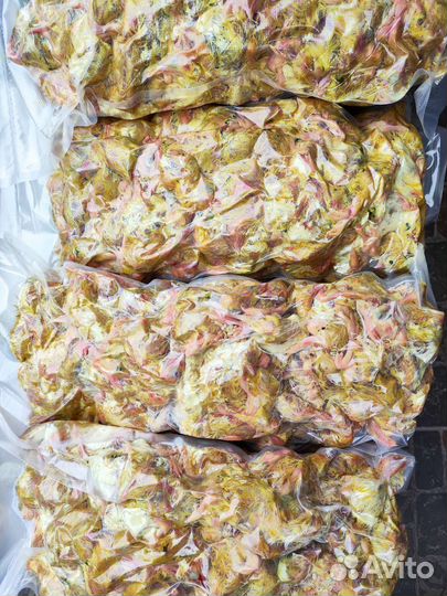 Цыплята корм для хищных животных