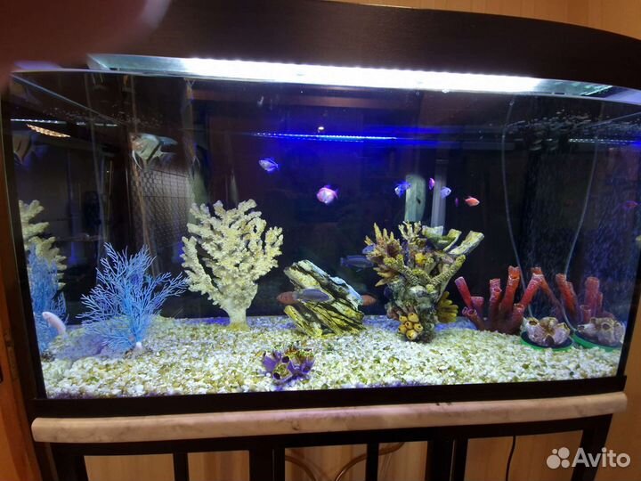 Аквариум с тумбой