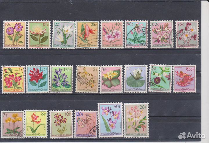 Бельгийские колонии