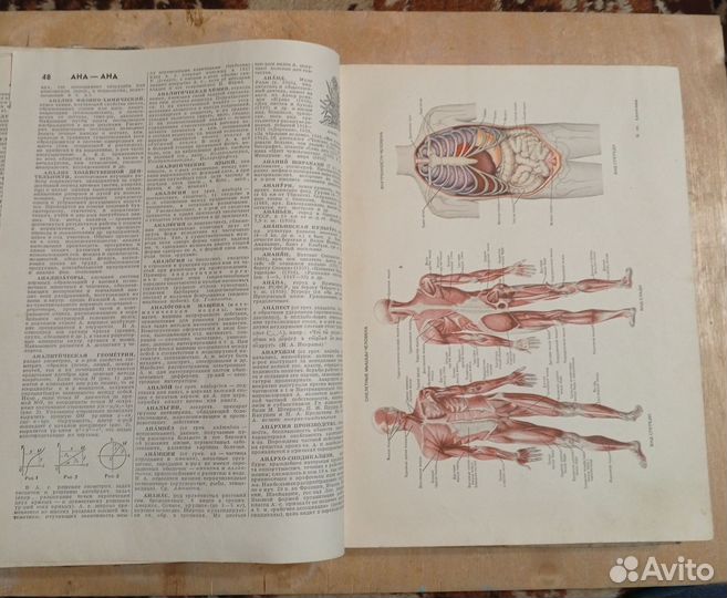 Энциклопедия от А до М