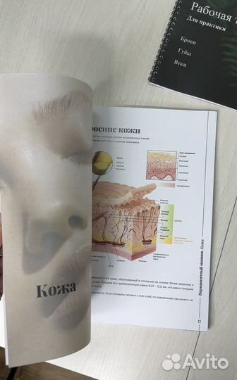 Обучение с нуля