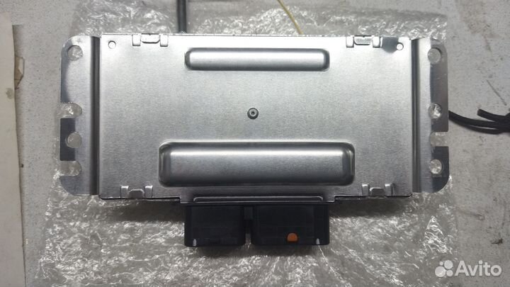 Мозги гранта новые