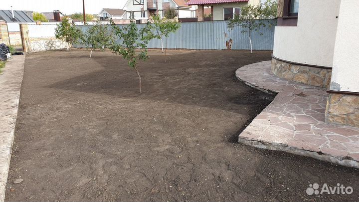 Рулонный газон