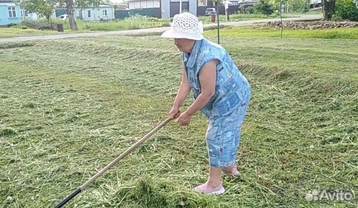 Женская одежда / одежда для женщин