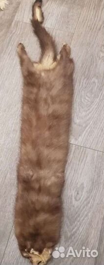 2 шкурки норочек - животик и спинка