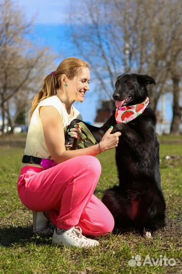 Собака Берта ждёт хозяина