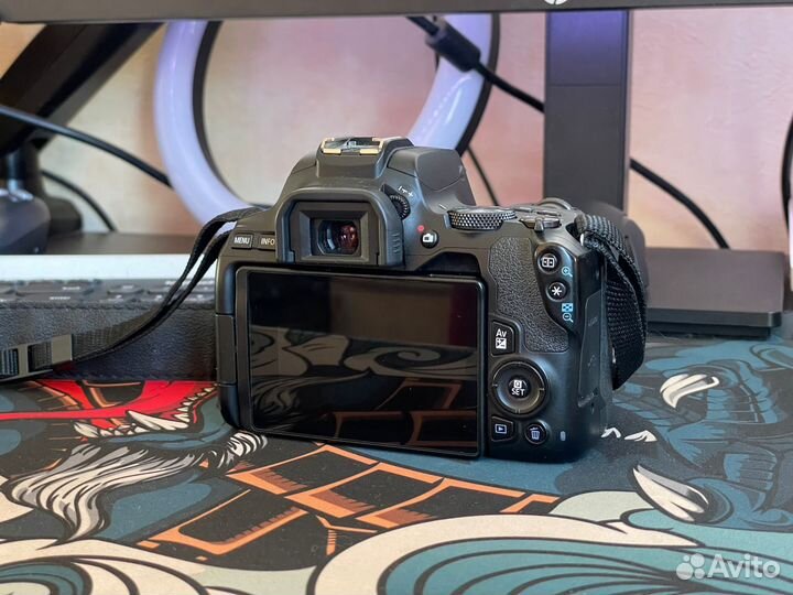 Canon EOS 250d + топовые объективы