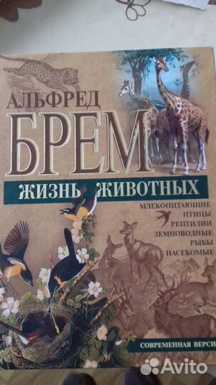 Жизнь Животных Альфред Брем