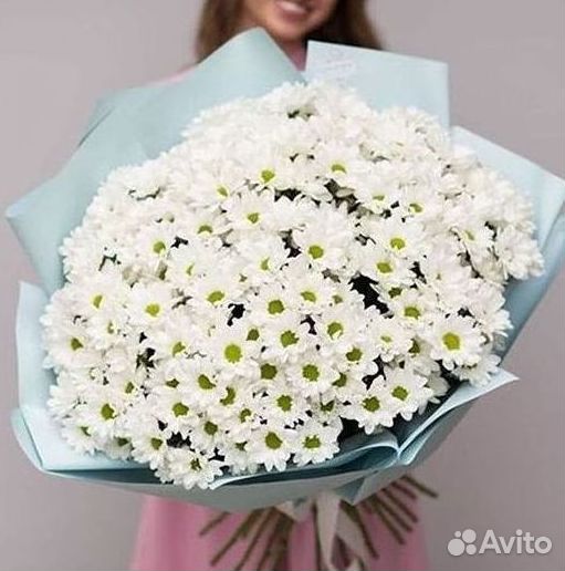 Доставка букетов и цветов. Хризантема