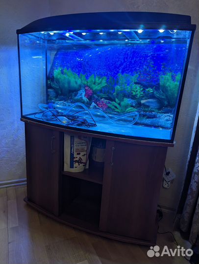 Аквариум с тумбой бу