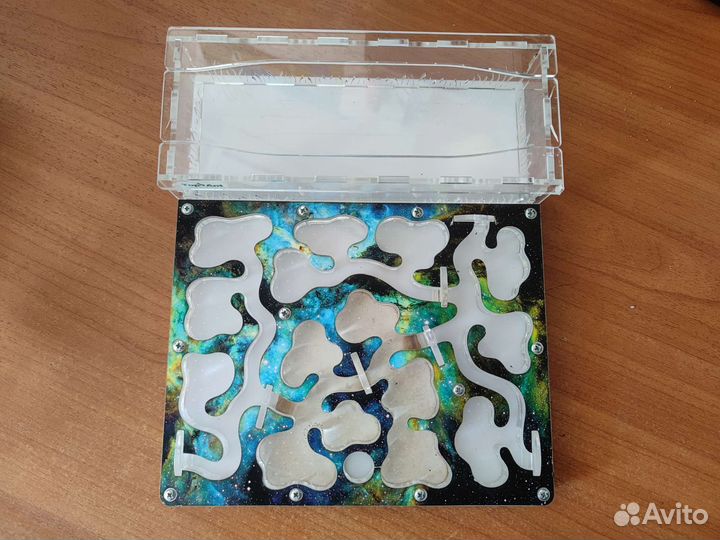 Шикарный большой формикарий Муравьиная ферма