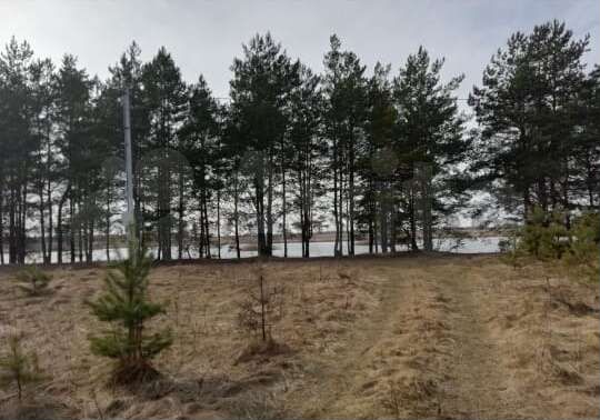 Участок 18,7 сот. (ИЖС)