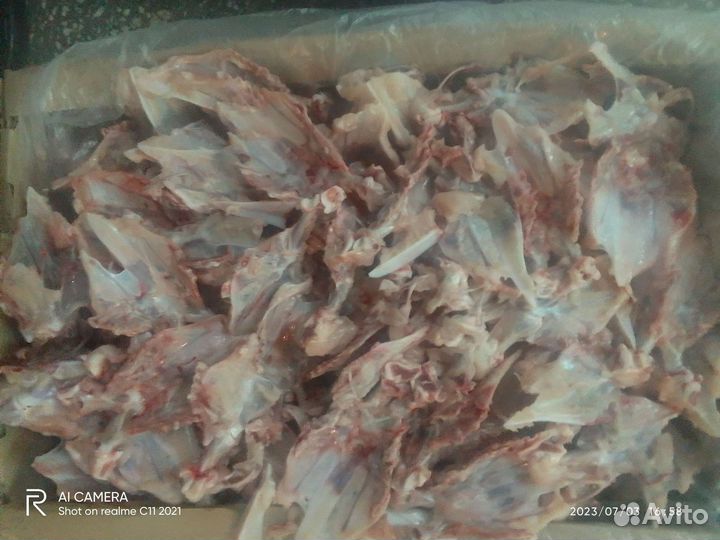 Корм для собак