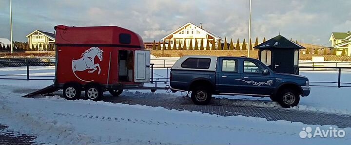 Перевозка лошадей