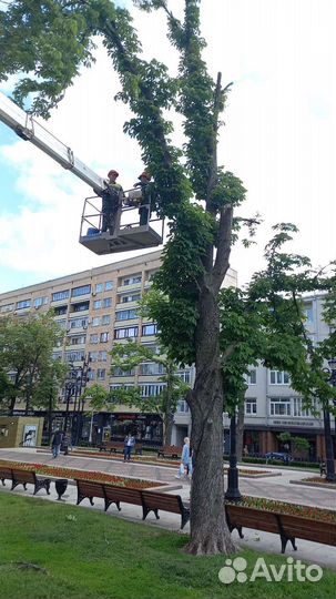 Аренда и услуги автовышки